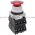 Siemens 52PP2A2D Push-Pull Operator Product Image