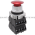 Siemens 52PP2A2D Push-Pull Operator Product Image