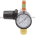 Speedaire 39DK93 Compressed Air Regulator Product Image