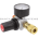 Speedaire 39DK93 Compressed Air Regulator Product Image