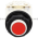 Square D 9001-SKR3RH13 Pushbutton Product Image