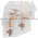 Square D 9999-SO4 Starter Alarm Contact Product Image
