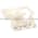Telemecanique LX1 D8G6 Coil Product Image