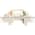Telemecanique LX1D8T7 Coil Product Image