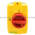 Telemecanique VCFN20GE Emergency Stop Switch Disconnector Product Image