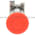 Telemecanique XB4 BS8442 Emergency Stop Button Product Image