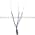 Telemecanique XS7 C1A1PAL2 Inductive Sensor Product Image