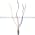 Telemecanique XU2 N18PP9AAL5R Photoelectric Sensor Product Image
