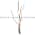 Telemecanique XU9 N18NP340W Proximity Switch Product Image