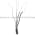 Telemecanique XUK 8ARCTL2 Photoelectric Sensor Product Image