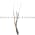 Telemecanique XUM 1ANANL2 Photoelectric Sensor Product Image