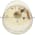 Telemecanique XVA C471 Flashing Light Clear Product Image