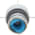 Telemecanique ZB2BG5 Selector Switch Product Image