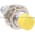 Turck NI12U-EM18-AP6X-H1141 Proximity Switch Product Image