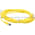 Turck PKG 4M-4 Cable Product Image