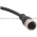 Wenglor BG2SG2V1-2M Connection Cable Product Image