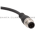 Wenglor BG2SG2V1-2M Connection Cable Product Image