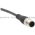 Wenglor BG7SG2V1-2M Connection Cable Product Image