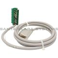 Allen Bradley 1492-ACABLE025R Pre-Wired Cable for 1746-NO8I & -NO8V Analog Output Modules Product Image