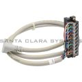 Allen Bradley 1492-CAB010E69 1.0m Pre-Wired Cable for 1769-OB16 and OV16 Modules Product Image