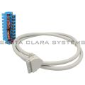 Allen Bradley 1492-CABLE010B Pre-Wired Cable for 1746 Digital I/O Modules Product Image