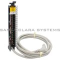 Allen Bradley 1492-CABLE025FF Pre-Wired Cable for 1771 Output Modules Product Image