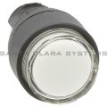 Allen Bradley 800EP-LE7 Pushbutton | 800E Illuminated White Product Image