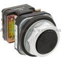 Allen Bradley 800T-A2T Pushbutton Product Image
