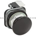 Allen Bradley 800T-D2D2 Pushbutton Product Image