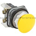 Allen Bradley 800T-D9A Pushbutton Product Image
