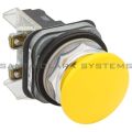 Allen Bradley 800T-D9D1 Push Button Product Image