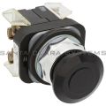 Allen Bradley 800T-FX2B Pushbutton Switch Product Image