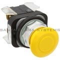 Allen Bradley 800T-FX9A5 Push Button Product Image
