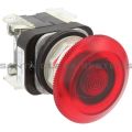 Allen Bradley 800T-FXJTQ24RA Pushbutton Product Image