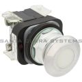 Allen Bradley 800T-FXMQ10WA7 Pushbutton Product Image