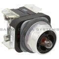 Allen Bradley 800T-FXMQ24XA7 Pushbutton Product Image
