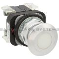 Allen Bradley 800T-FXNQ10WA7 Pushbutton Product Image