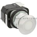 Allen Bradley 800T-FXP16WD4 Pushbutton Product Image