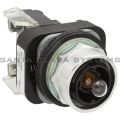 Allen Bradley 800T-FXQ24 Pushbutton | 800T-FXQ24X Product Image