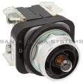 Allen Bradley 800T-FXQ24XA1 Push Button Product Image