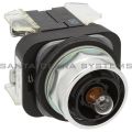 Allen Bradley 800T-FXQ24XD4 Pushbutton Product Image