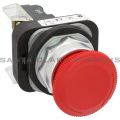Allen Bradley 800T-FXT6D4 Push Button Product Image