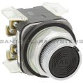 Allen Bradley 800T-K2AAXX Pushbutton Product Image