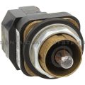 Allen Bradley 800T-P46 Pilot Light Product Image