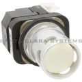 Allen Bradley 800T-PA16W Pushbutton Product Image