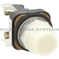 Allen Bradley 800T-Q10W Pilot Light Product Image