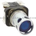 Allen Bradley 800T-QA24BD1 Pushbutton Product Image