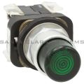 Allen Bradley 800T-QBH24GD1 Pushbutton Product Image