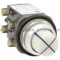 Allen Bradley 800T-QCL424WWWW Cluster Pilot Light Product Image