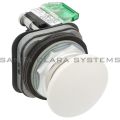Allen Bradley 800TC-D5D1 Pushbutton | Finger Safe Product Image